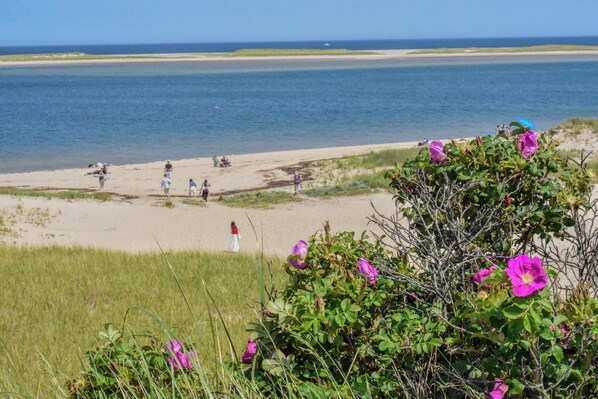 A beach with people, a lifeguard tower, and a distant shoreline. - Game Room Walk to Nantucket Sound! (South Chatham)
