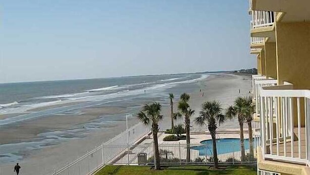 A beachfront view with a pool, palm trees, and a fenced area.