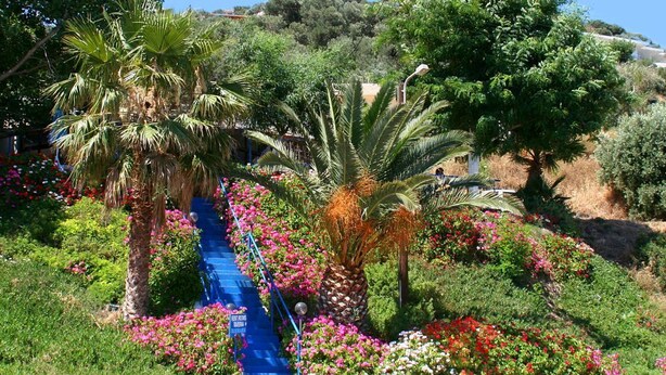 Ein Garten mit einer blauen Treppe, umgeben von verschiedenen Pflanzen und Blumen.
