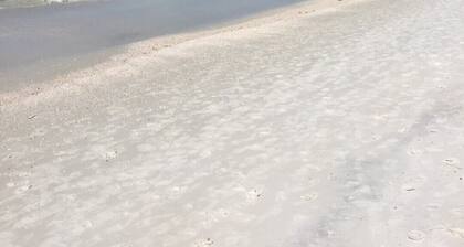 44 PACES POUR CLEARWATER BEACH, UNE MINUTE BAREFOOT