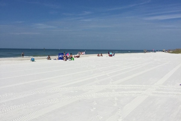 Plage à proximité, chaises longues, parasols, serviettes de plage