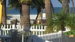 Una propiedad frente a la playa con palmeras, una cerca blanca y vista al océano.