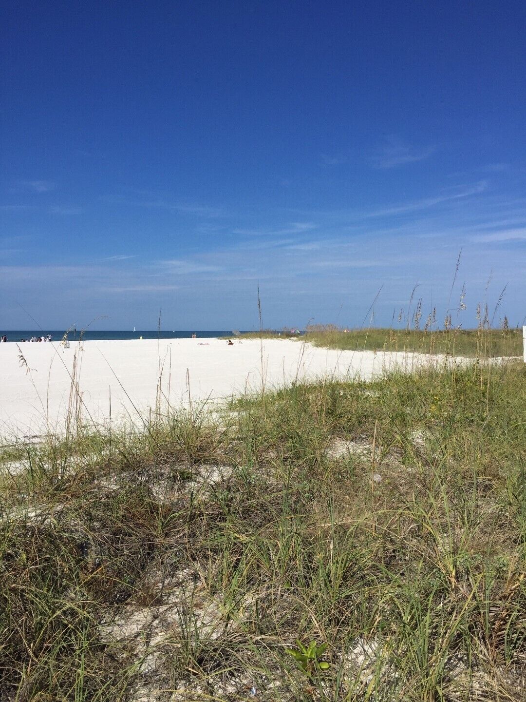 A beach with white sand and sparse vegetation.