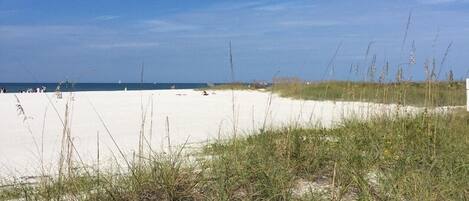 A beach with white sand and sparse vegetation.