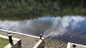 Um cais de madeira se estende por um lago calmo, com reflexos nítidos.