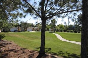 A residential lawn with a curved driveway, surrounded by trees and houses.
