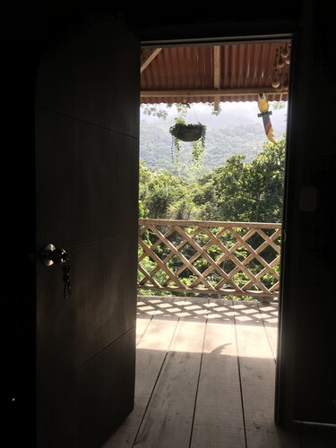 Tayrona Deep Forest Posadas