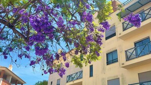 Un edificio con varios balcones y ventanas, rodeado de follaje cuidado y árboles florecientes.
