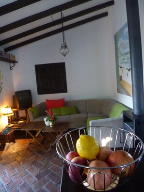 TV, fireplace, DVD player, books