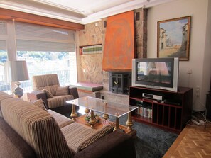 TV, lareira, DVD player, livros