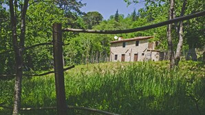 Una casa de piedra rústica con techo de tejas rojas, rodeada de abundante vegetación y árboles.