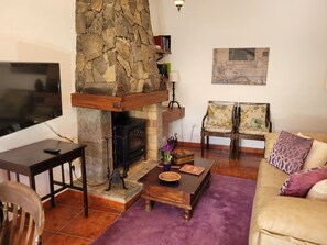 TV, fireplace, books