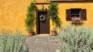 Un bâtiment jaune avec une porte marron, des plantes en pot et une fenêtre avec des volets.