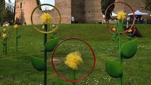 Een gazon met decoratieve gele paardenbloemen en groene bladeren, een bakstenen toren en een bakstenen muur op de achtergrond.