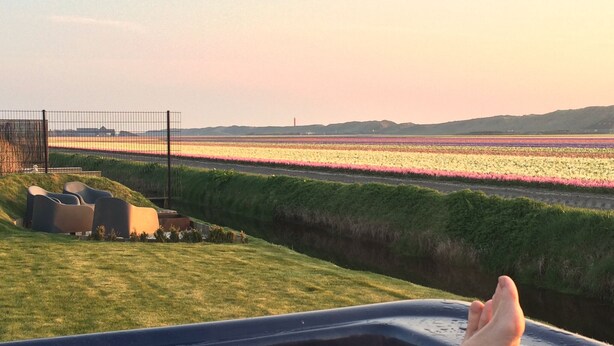 A view from a hot tub overlooking a flower field with a fence and grassy area.