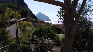 Ein Baum mit einer gewundenen Äste, ein Gebäude mit einem Ziegeldach und eine Berglandschaft im Hintergrund.