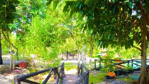 Un puente de madera que lleva a un espacio cubierto con plantas en macetas y una zona de estar.