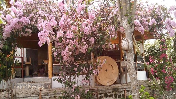 Un sendero de piedra que lleva a una estructura de madera con árboles de flores rosadas.