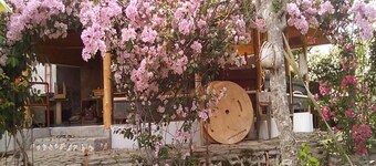 Bougainvillea Paradise Campground