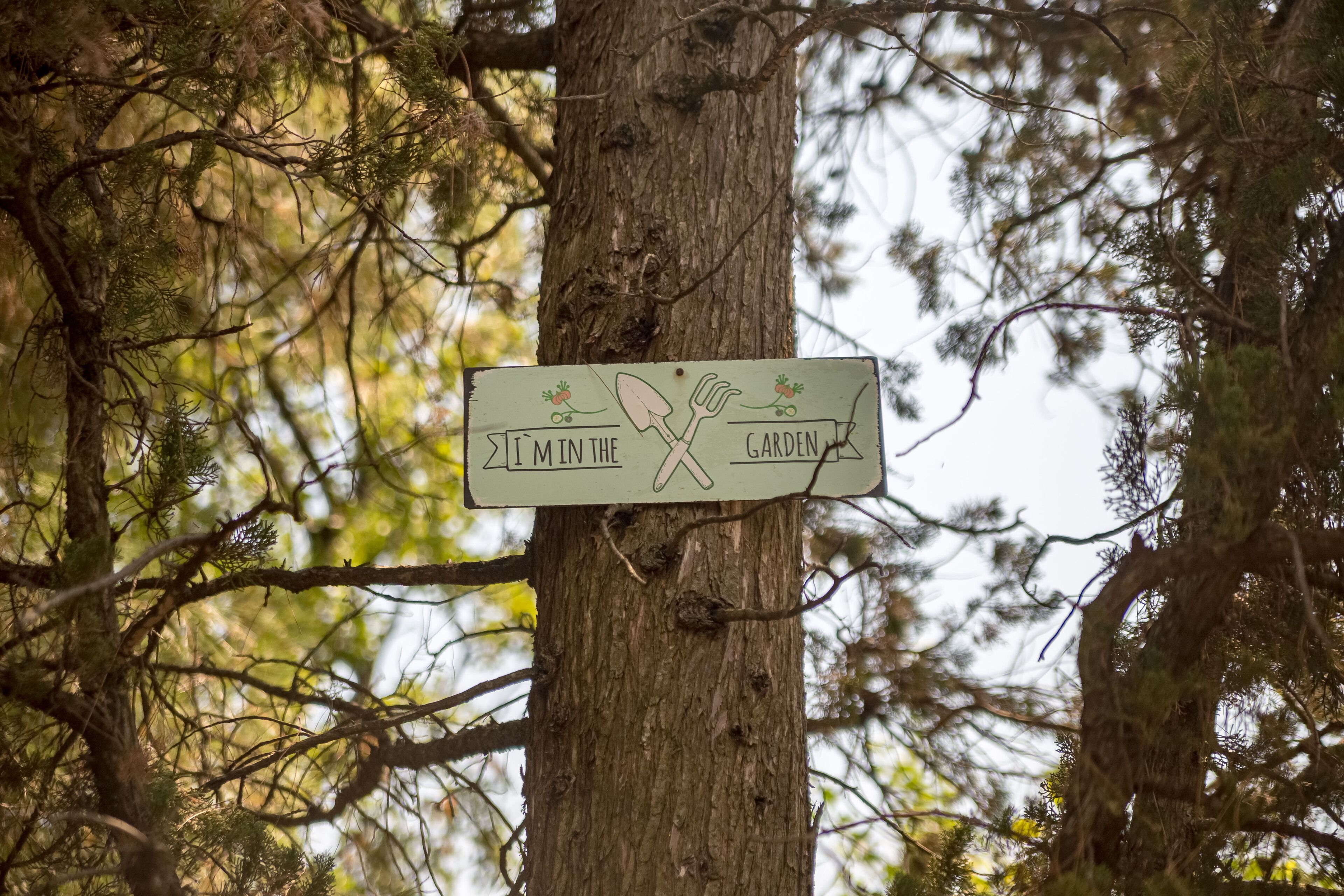 A sign with a shovel and garden fork, indicating a gardening area.
