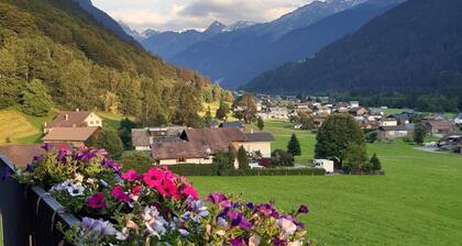 Haus Carmen, family-friendly 4 Edelweiss vacation apartment with BergePlus program