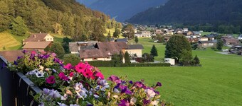 Haus Carmen, family-friendly 4 Edelweiss holiday apartment with BergePlus program