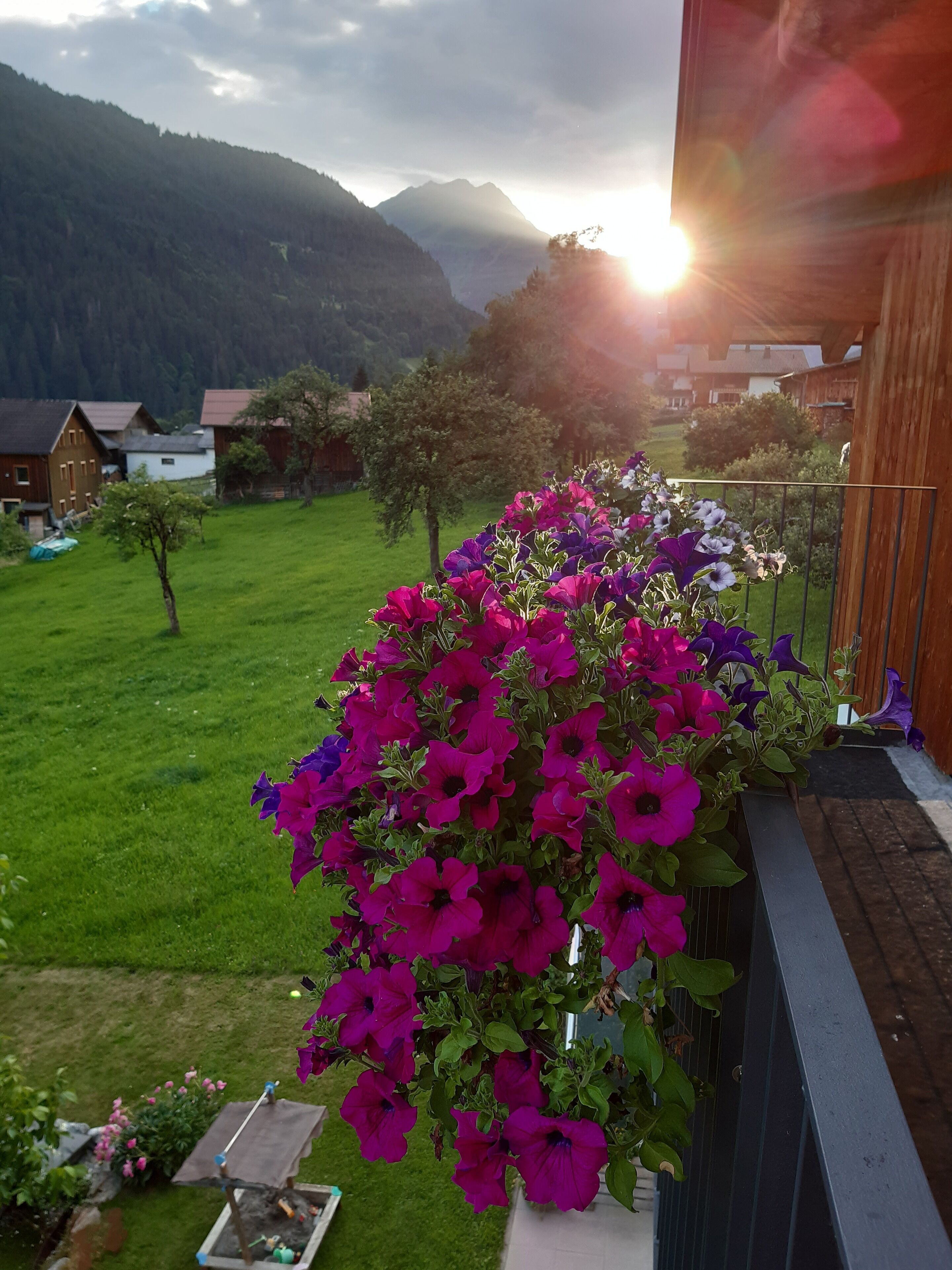 Ein Balkon mit einem Blumenkasten voller leuchtender Blumen, ein Rasen und Häuser im Hintergrund.
