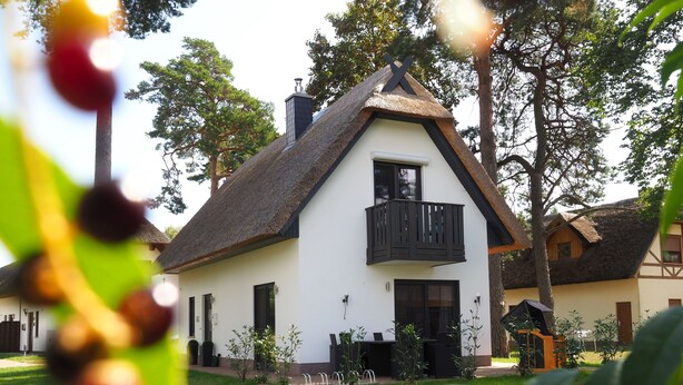 Uma casa tradicional com telhado de palha, varanda e um jardim bem cuidado.