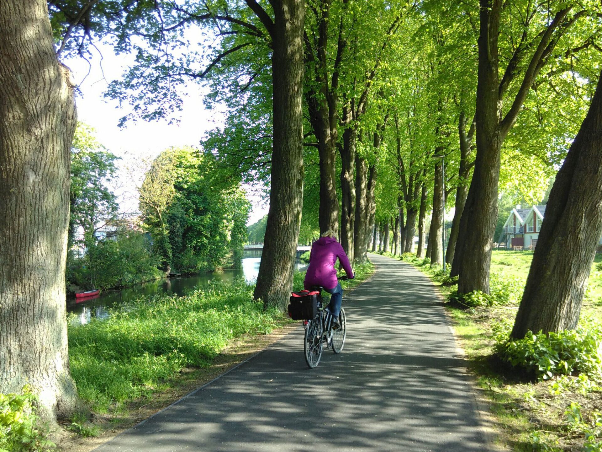 A cyclist on a tree-lined path with a river and houses in the background.