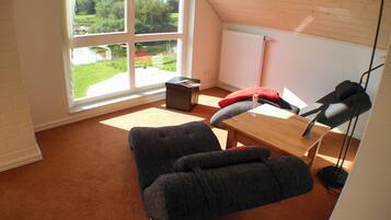 TV, fireplace, DVD player, books