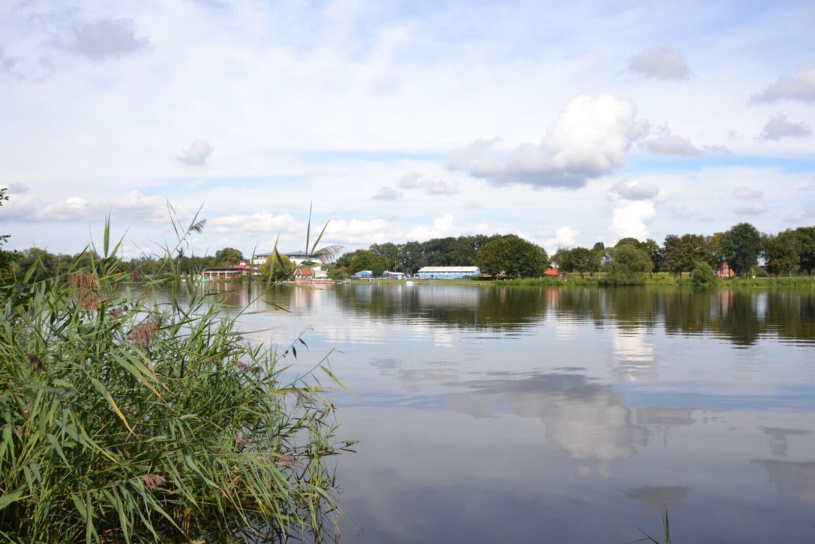 Een rustig meer met gebouwen op de achtergrond en begroeiing eromheen.