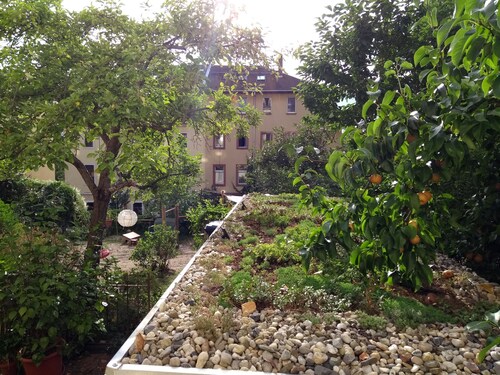 Apfeltraum - die feine Wohnung in der Dresdner Neustadt