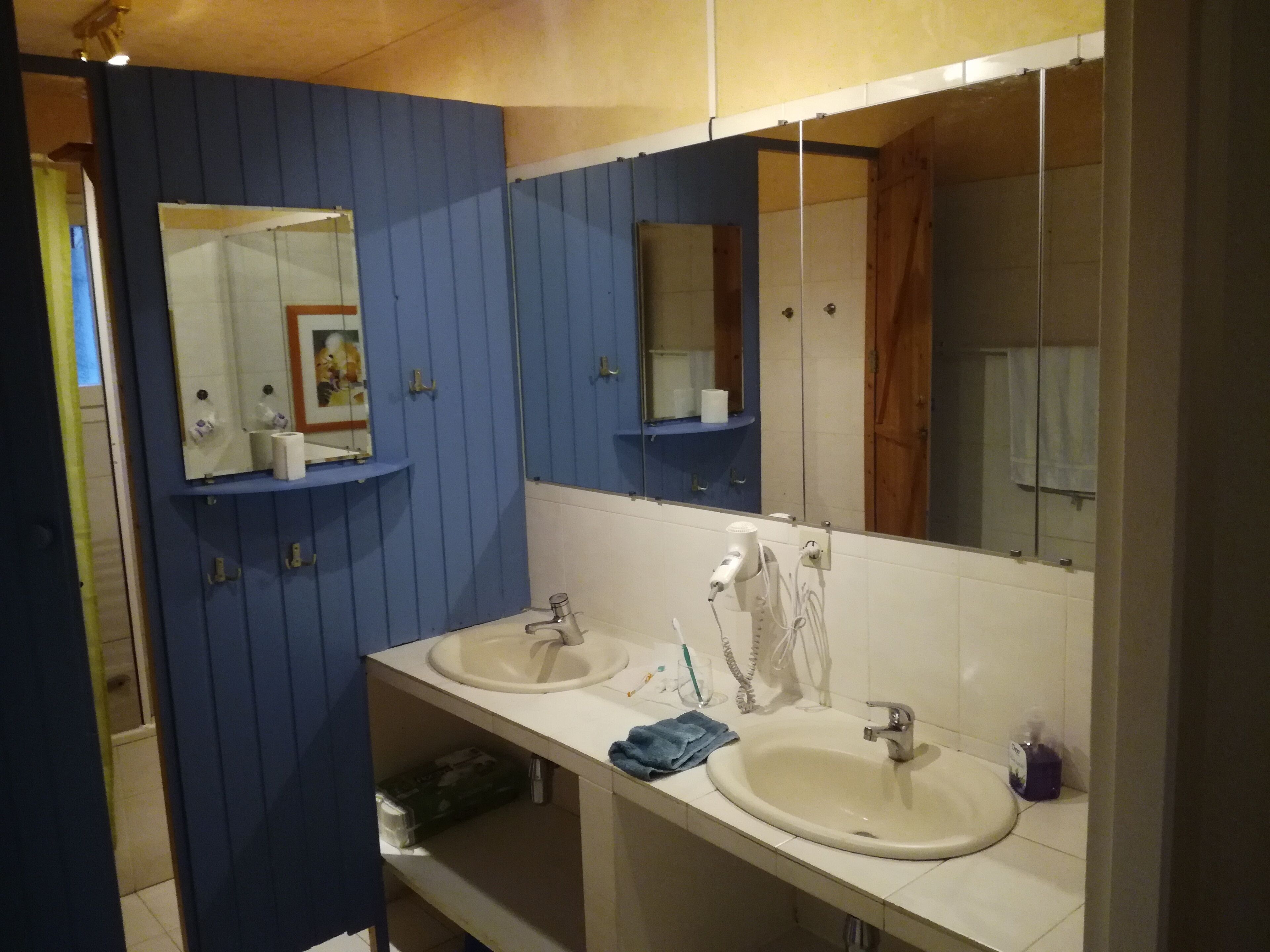 A bathroom with two sinks, a large mirror, and blue paneling on the walls.