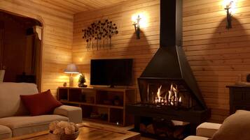 Smart TV, fireplace, books