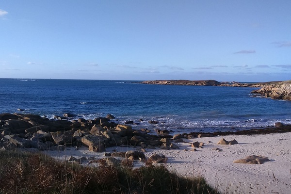 Plage, chaises longues