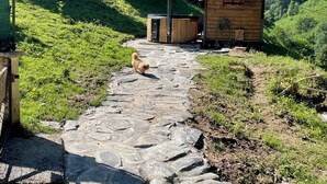 A stone pathway leading to a wooden cabin with a chimney, surrounded by lush greenery and hills. - Gîte Jaune - House on 5 ha property, swimming pool, sauna, animals, (Osse-En-Aspe)