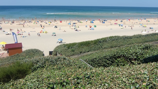 A beach with umbrellas and people.