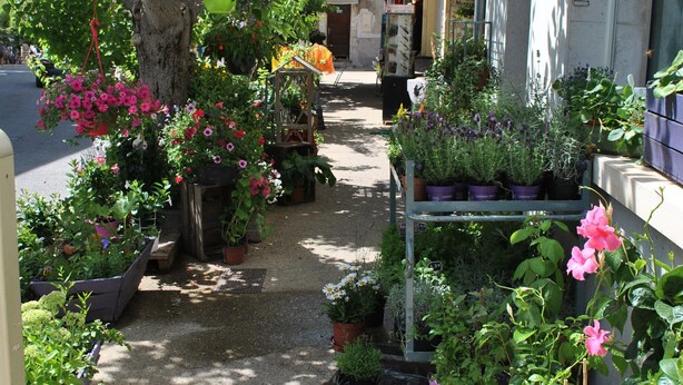 Een smalle steeg met planten en bloemen langs het pad.
