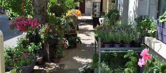 Lite provençalske gårdshus i lokal stein omgitt av natur. 