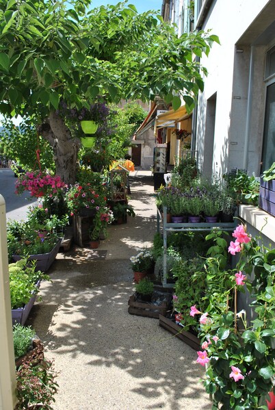 Small Provencal mas in local stone surrounded by nature. 