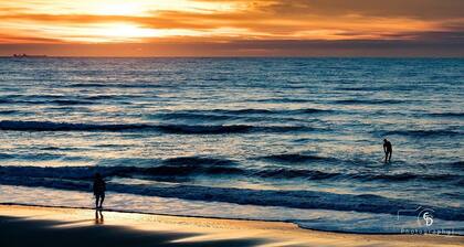 LES LILAS  15 pers 10 MN WIMEREUX  NAUSICAA 20MN WISSANT AUDRESSELLES TRES CALME