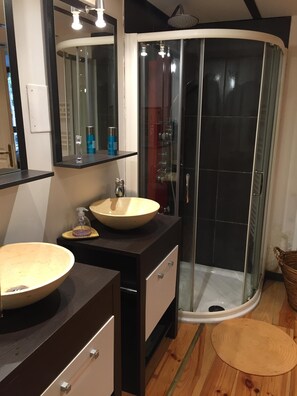 Shower, hair dryer, toilet paper - Le Paillier d'Etienne atypical gîte with jaccusi (La Cresse)