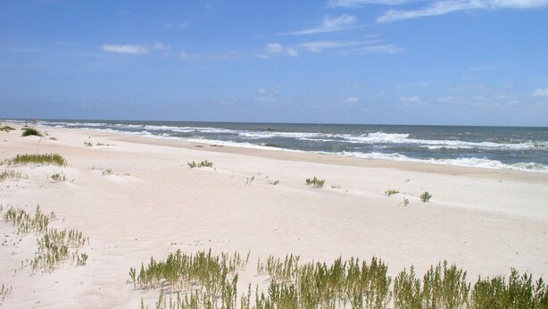 A beach with sand dunes and sparse vegetation. - A secluded 3 bedroom, 2 bath Gulf view home nestled in lush tropical vegetation (St George Island)