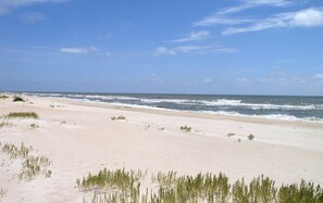 A beach with sand dunes and sparse vegetation.
