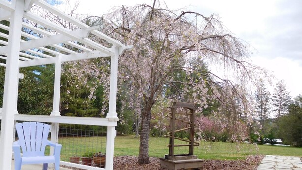 A covered patio area with a white pergola, a blue Adirondack chair, and a stone pathway. - Beautiful Mountain Getaway - All Four Breathtaking Seasons! (Hendersonville)