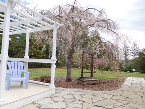 Een overdekt terras met een witte pergola, een blauwe Adirondack-stoel en een pad van stenen.