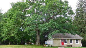 A house with a red door, a small porch, and a large tree in front. - Beautiful Mountain Getaway - All Four Breathtaking Seasons! (Hendersonville)