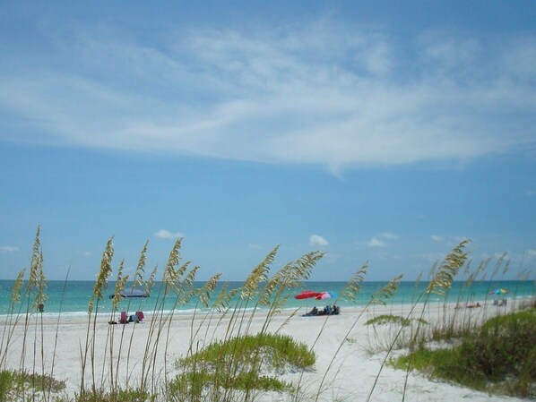Sun loungers, beach towels