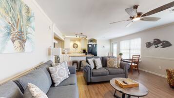 Fernseher, DVD-Player