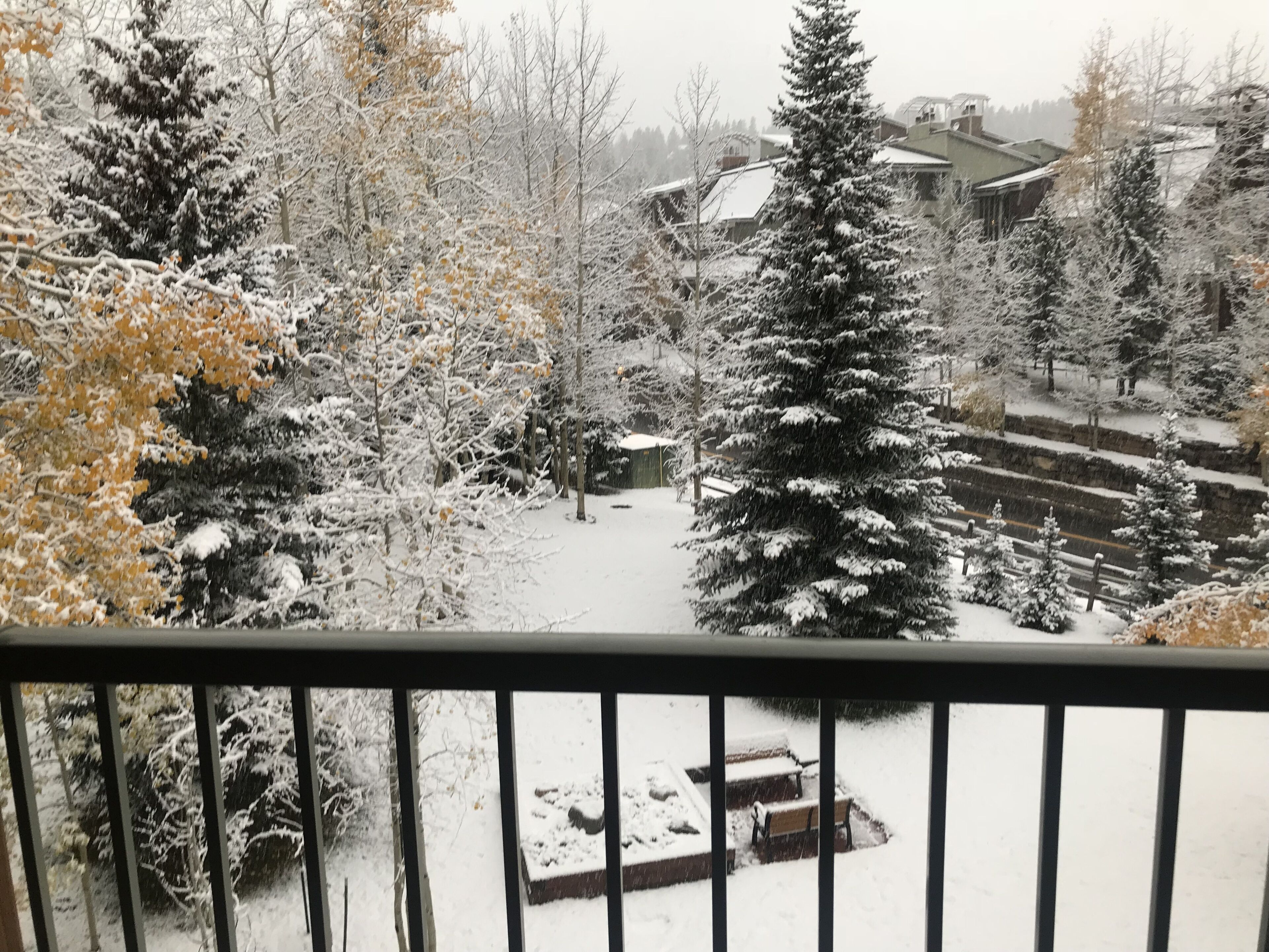 Schneebedeckte Landschaft mit einer Bank und Bäumen, Blick vom Balkon.